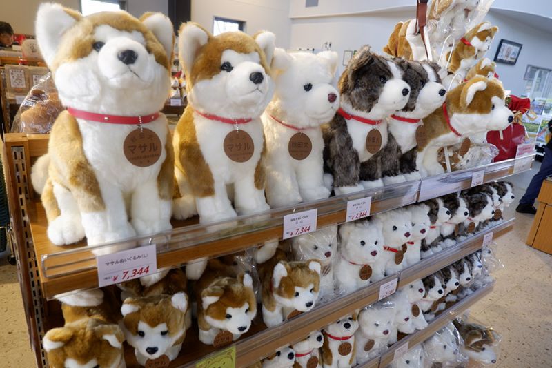 quà lưu niệm chủ đề chó Akita